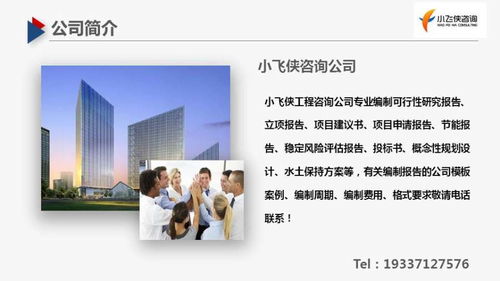 子长县做可行性报告,报告 老师,写报告价格很优惠